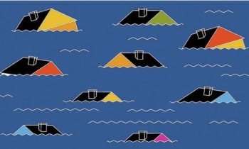 Wading through the flood of information when deciding on natural-disaster insurance