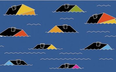 Wading through the flood of information when deciding on natural-disaster insurance