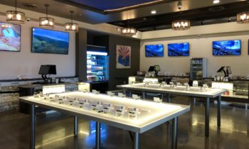 Local firm KatzDesignGroup helps bring first medical marijuana dispensary to Chandler