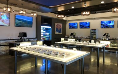 Local firm KatzDesignGroup helps bring first medical marijuana dispensary to Chandler