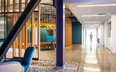 Holly Street Studio renovates, transforms iconic 1960s building on Phoenix College campus to modern teaching facility