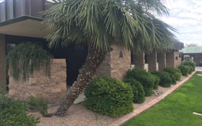 Kidder Mathews’ VP negotiates $1.26M sale of pair of medical office buildings in Chandler