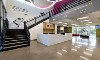 A ‘pawsitive day’ for cats, dogs as design team, community celebrate opening of Heidi’s Village