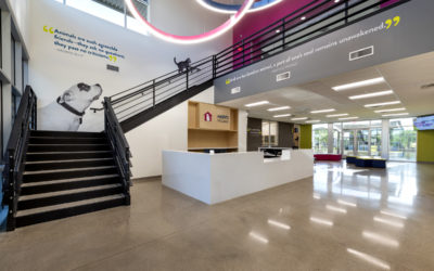 A ‘pawsitive day’ for cats, dogs as design team, community celebrate opening of Heidi’s Village