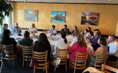 AAED announces 2022 mentorship program participants after successful inaugural year