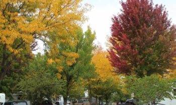 NAI Horizon facilitates acquisition of Hagerman RV Village in popular, scenic Idaho location