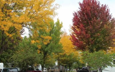 NAI Horizon facilitates acquisition of Hagerman RV Village in popular, scenic Idaho location