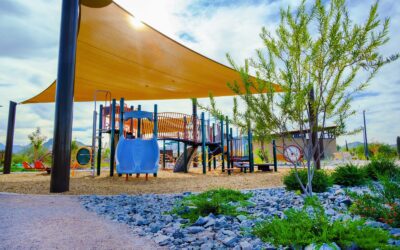 Taylor Morrison holding August 26 grand opening for Lucero Discovery, newest Estrella community