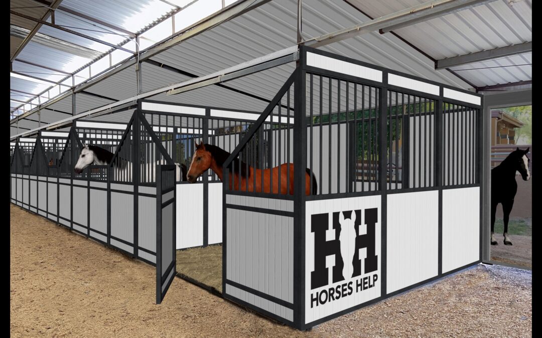 Larger ranch will enable Horses Help to work with more people, offer more programs and services