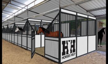 Larger ranch will enable Horses Help to work with more people, offer more programs and services