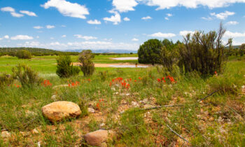 The Nature Conservancy, partners protect water for people and nature with landmark easement