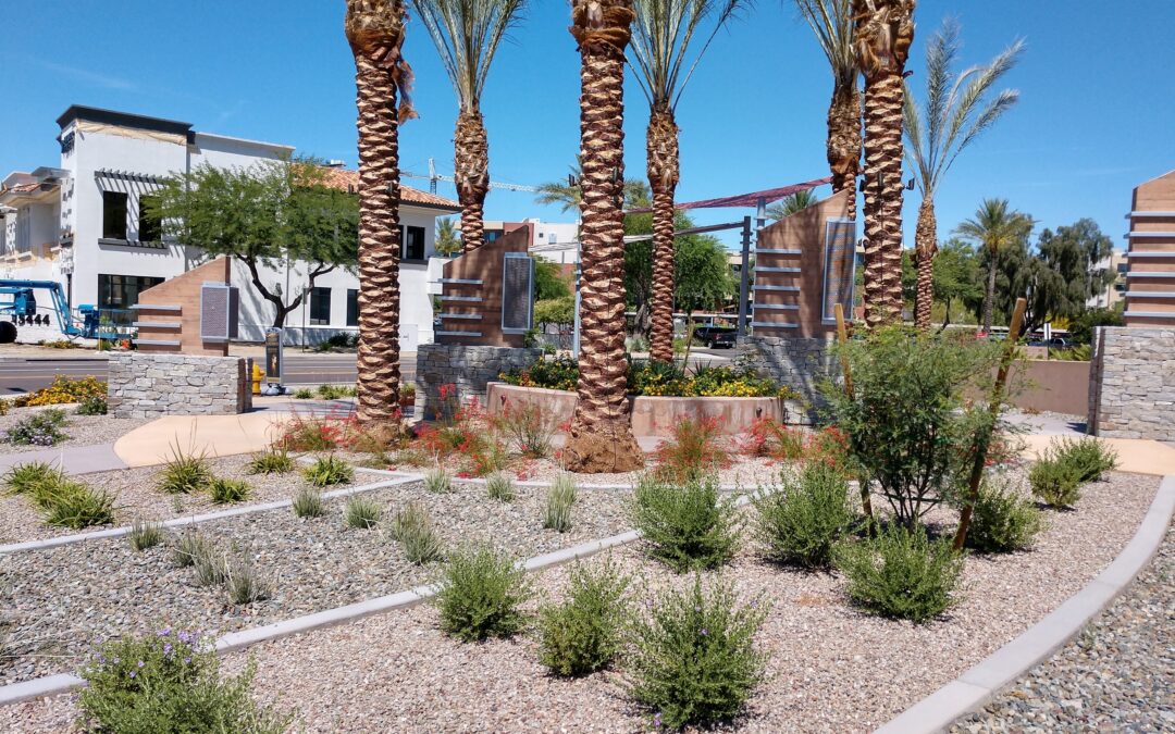 Firm rebrands as Adamson Group, marking new era for East Valley landscape architecture leader