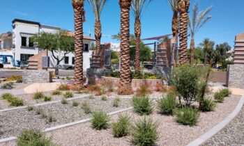 Firm rebrands as Adamson Group, marking new era for East Valley landscape architecture leader