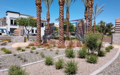 Firm rebrands as Adamson Group, marking new era for East Valley landscape architecture leader