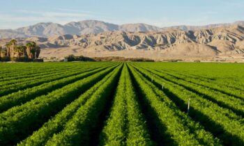 Harvard Investments, Cowley Companies work with Arizona stakeholders to drive passage of the ‘ag-to-urban’ bill, unlocking water-smart growth