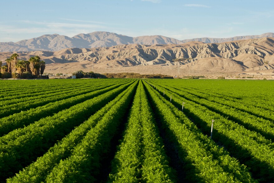Harvard Investments, Cowley Companies work with Arizona stakeholders to drive passage of the ‘ag-to-urban’ bill, unlocking water-smart growth