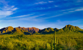 Goodyear City Council unanimously approves significant rezoning request for Estrella 14 PAD