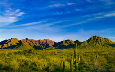 Goodyear City Council unanimously approves significant rezoning request for Estrella 14 PAD